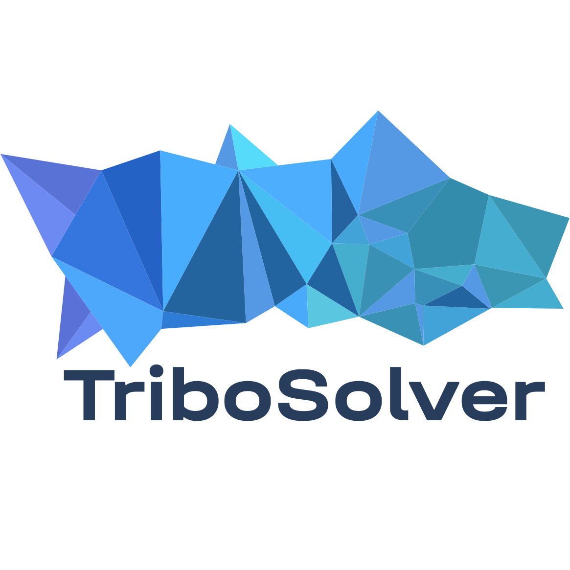 TriboSolver - Dry Contact